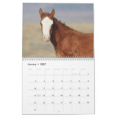 Wilde Fohlen aus Salzwasser-Bach Kalender (Jan 2027)