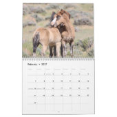 Wilde Fohlen aus Salzwasser-Bach Kalender (Feb 2027)