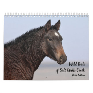 Wilde Fohlen aus Salzwasser-Bach Kalender