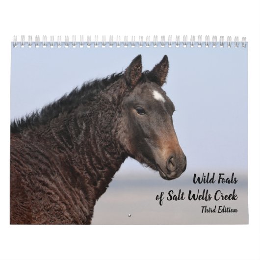 Wilde Fohlen aus Salzwasser-Bach Kalender (Titelbild)