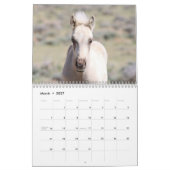 Wilde Fohlen aus Salzwasser-Bach Kalender (Mär 2027)
