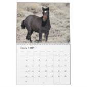 Wilde Fohlen aus Salzwasser-Bach Kalender (Jan 2027)