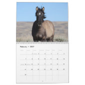 Wilde Fohlen aus Salzwasser-Bach Kalender (Feb 2027)