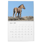 Wilde Fohlen aus Salzwasser-Bach Kalender (Mär 2027)