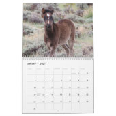 Wilde Fohlen aus Salzwasser-Bach Kalender (Jan 2027)