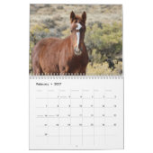Wilde Fohlen aus Salzwasser-Bach Kalender (Feb 2027)