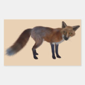 wilde Fuchskleber Rechteckiger Aufkleber (Vorderseite)