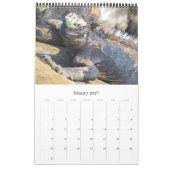 wilde Galapagos 2027 Kalender (Jan 2027)