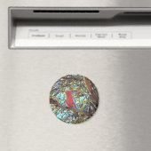 wilde Galla Magnet (In Situ (Geschirrspüler))