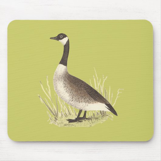 Wilde Gans (Anser canadensis) Mousepad (Vorne)