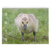 Wilde Gänse 2015 - Gans-Kalender Kalender (Titelbild)