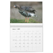 Wilde Gänse 2015 - Gans-Kalender Kalender (Mär 2027)