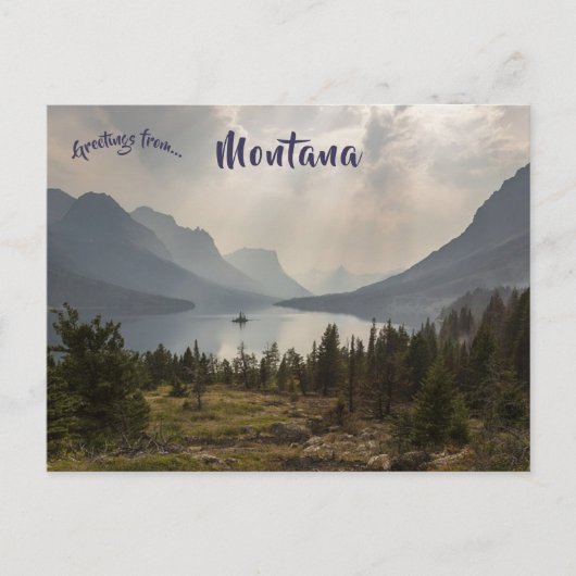 Wilde Gänse Insel Standpunkt Montana Postkarte (Vorderseite)