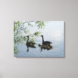 Wilde Gänse-Leinwand Leinwanddruck