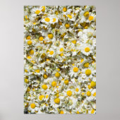 Wilde Gänse Poster (Vorne)