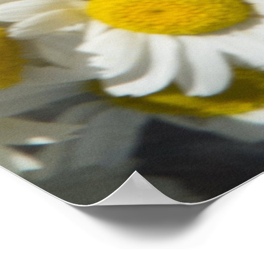 Wilde Gänse Poster (Ecke)