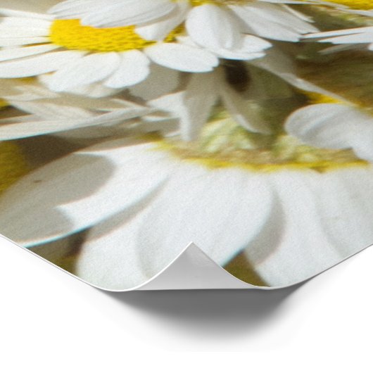 Wilde Gänse Poster (Ecke)