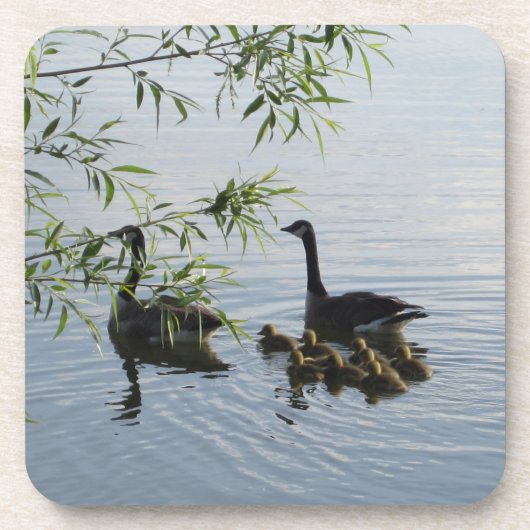 Wilde Gänse - Set von 6 Jahren Untersetzer (Vorderseite)