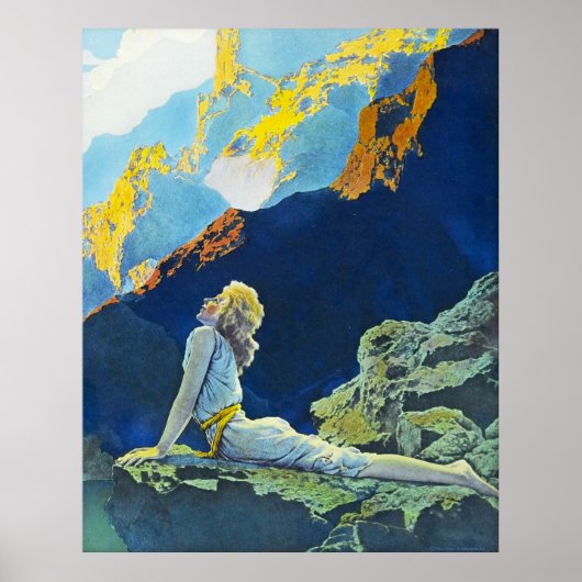 Wilde Gänse von Maxfield Parrish Poster (Vorne)