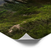 Wilde Gänsinsel im Glacier Nationalpark Poster (Ecke)