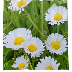 Wilde Gartenblumen Rumänien – Naturfotografie Duschvorhang