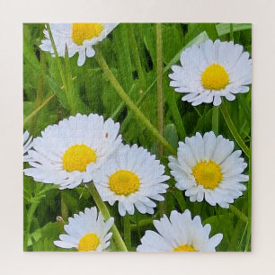 Wilde Gartenblumen Rumänien – Naturfotografie Puzzle