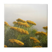 Wilde gelbe Blumen Südafrika Misty Weather Fliese (Vorderseite)