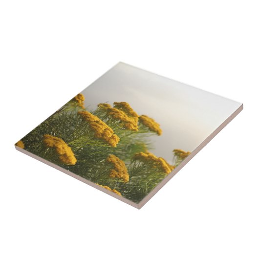 Wilde gelbe Blumen Südafrika Misty Weather Fliese (Seite)