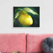 Wilde Gelbe Dame Slipper Orchid-Blume Nah Leinwanddruck (Insitu (Wohnzimmer))