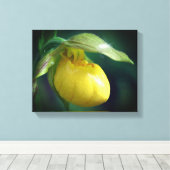 Wilde Gelbe Dame Slipper Orchid-Blume Nah Leinwanddruck (Insitu (Holzboden))