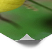 Wilde Gelbe Dame Slipper Orchid-Blume Poster (Ecke)