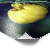 Wilde Gelbe Dame Slipper Orchidee Blume 8x10 Fotodruck (Ecke)