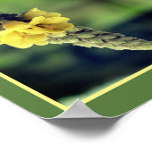 Wilde Gelbe Mullein-Blume Abstrakt Poster (Ecke)