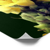 Wilde Gelbe Mullein-Blume Poster (Ecke)