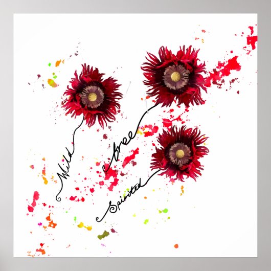 Wilde, gepflückte Mohnwild-Blume Poster (Vorne)