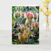 Wilde Geranuchskernpocken Karte (Gelbe Blume)