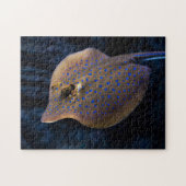 Wilde Gesteinsfische im Ozean Arten Kreaturen Puzzle (Horizontal)