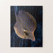 Wilde Gesteinsfische im Ozean Arten Kreaturen Puzzle (Vertikal)