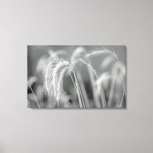 Wilde Gräser - Schwarz und Weiß Leinwanddruck