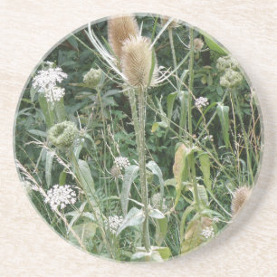 Wilde Grasses-Untersetzer Sandstein Untersetzer