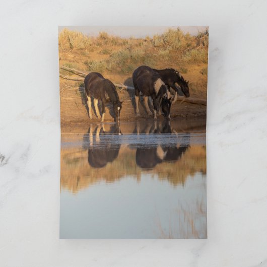 Wilde Grußkarten - Wilde Familie bei Oasis Dankeskarte (Innenseite)