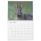 Wilde Häschen Kalender (Mär 2026)