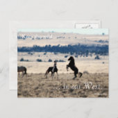 Wilde Hengste, voradressiert: Sec of the Interior Postkarte (Vorne/Hinten)
