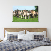 Wilde Herde von Duelmen Ponies mit Fohlen. Leinwanddruck (Insitu (Schlafzimmer))