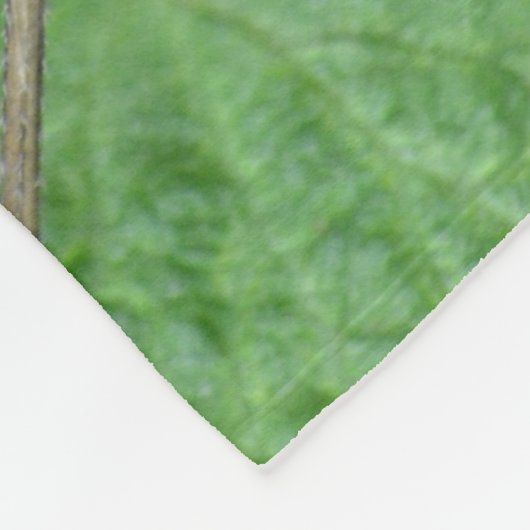 Wilde Himbeeren Fleecedecke (Ecke)