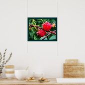 Wilde Himbeeren Poster (Küche)