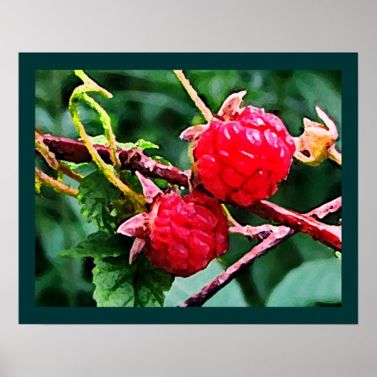 Wilde Himbeeren Poster (Vorne)