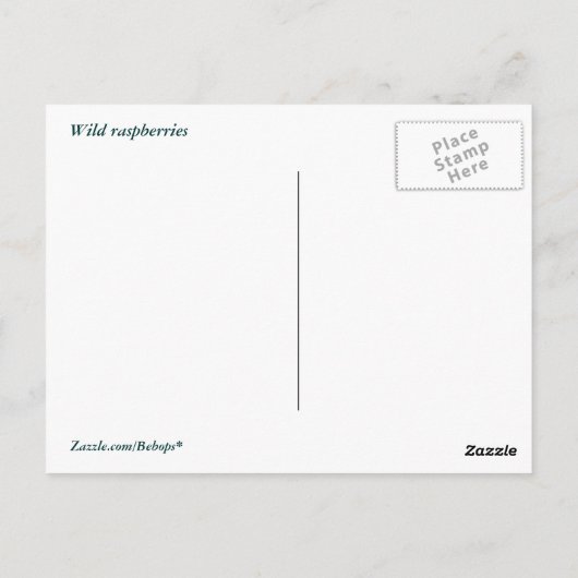 Wilde Himbeeren Postkarte (Rückseite)