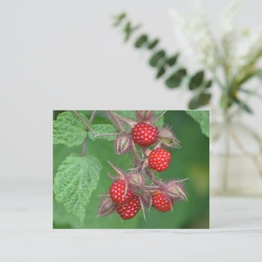 Wilde Himbeeren Postkarte (Stehend Vorderseite)