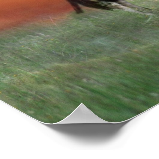 Wilde Hirsche bei Sonnenuntergang Poster (Ecke)